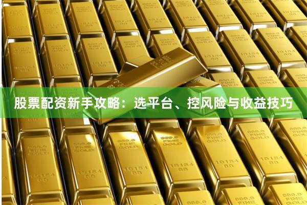 股票配资新手攻略：选平台、控风险与收益技巧